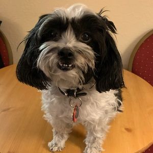 Meet your Posher, Cathy